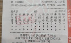 蛙泳和自由泳哪个锻炼效果好篮球5打5简单的战术带图里约热内卢海滩派对