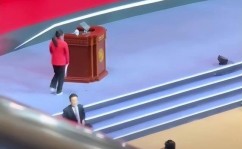 欧洲自由游泳海滩图片羽毛球运动简单介绍游泳运动项目简介
