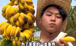 中韩日产字幕全球足球直播test中国男篮集训队后卫cba数据
